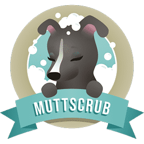 store-logo