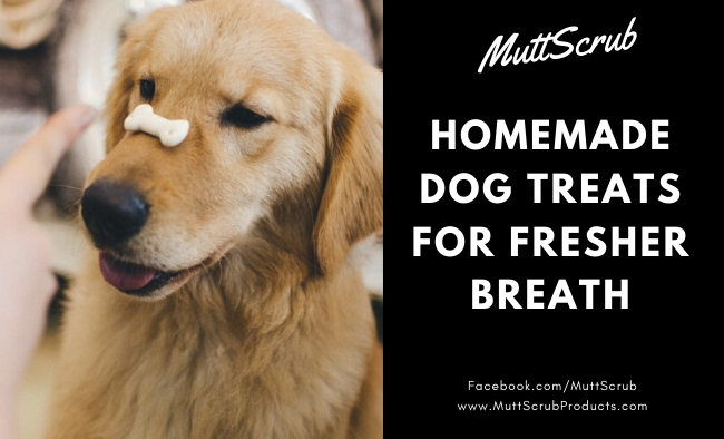 Dog Treats You Can Make At Home To Freshen Your Dog’s Breath