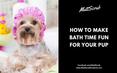 How To Make Bath Time Fun For Your Pup