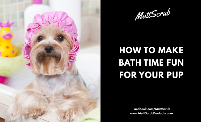 How To Make Bath Time Fun For Your Pup