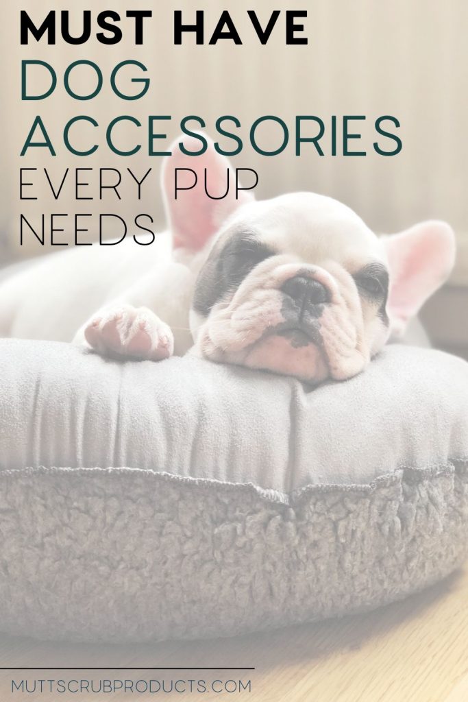 french bulldog sleeping in dog bed
