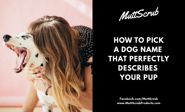 How To Pick A Dog Name That Perfectly Describes Your Pup